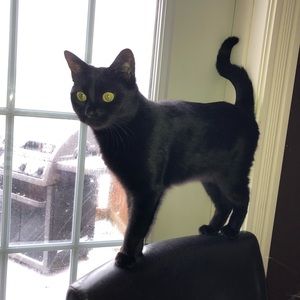 Meet your Posher, Jenna